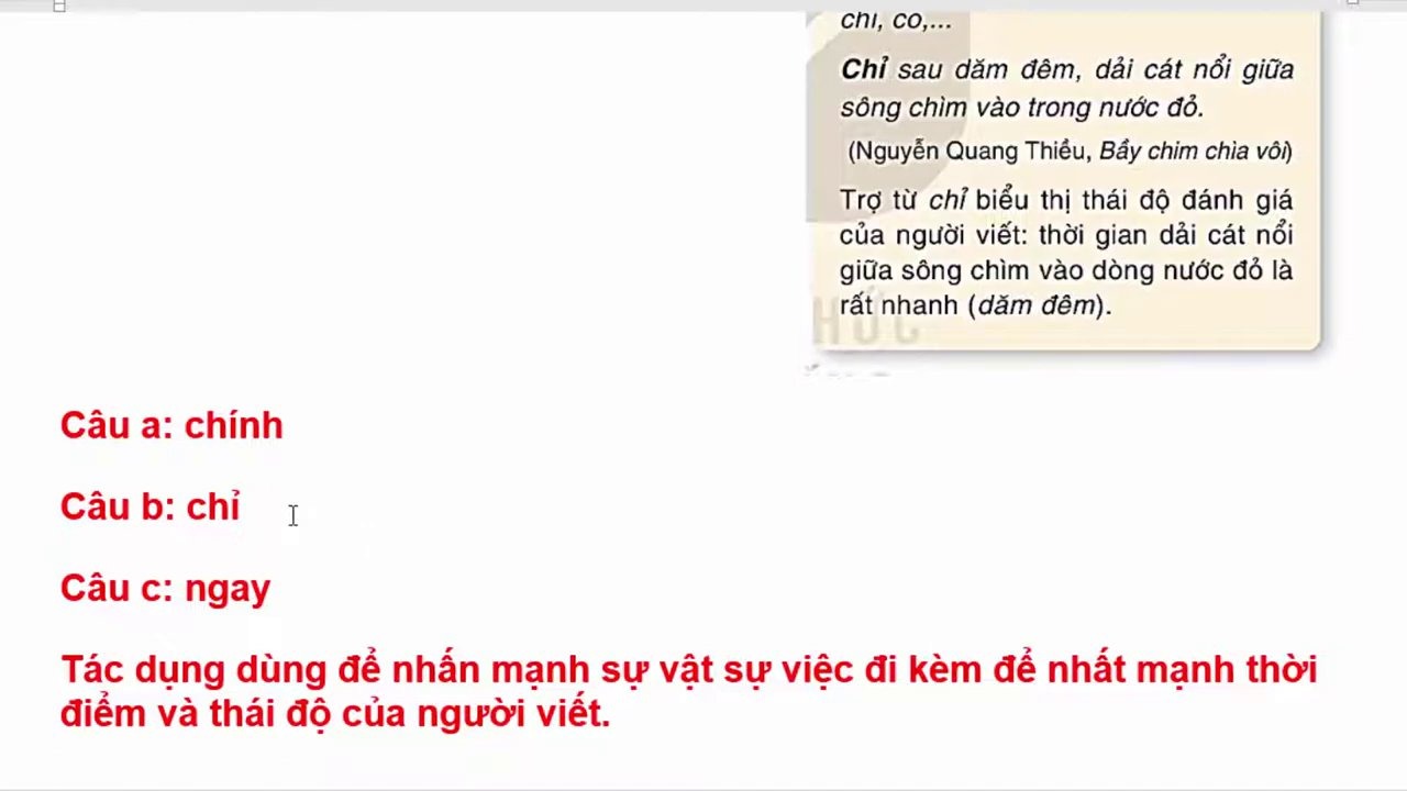 Sơ đồ minh họa sự khác biệt giữa trợ từ nhấn mạnh và trợ từ không nhấn mạnh cảm xúc.