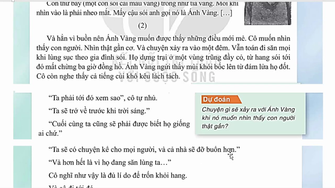 Khoảnh khắc sói Lam nhìn vào mắt cậu bé Phi Châu, nơi quá khứ và hiện tại giao thoa.