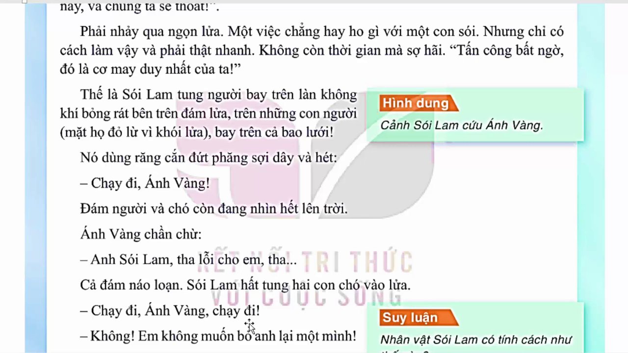Cảnh sói Lam xông vào trại, dùng răng cắn đứt dây trói để giải cứu sói Vàng.