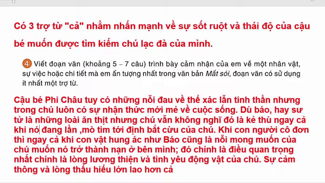 Hình ảnh thể hiện sự đồng cảm giữa con người và thiên nhiên, như Phi Châu và những con thú hoang dã.