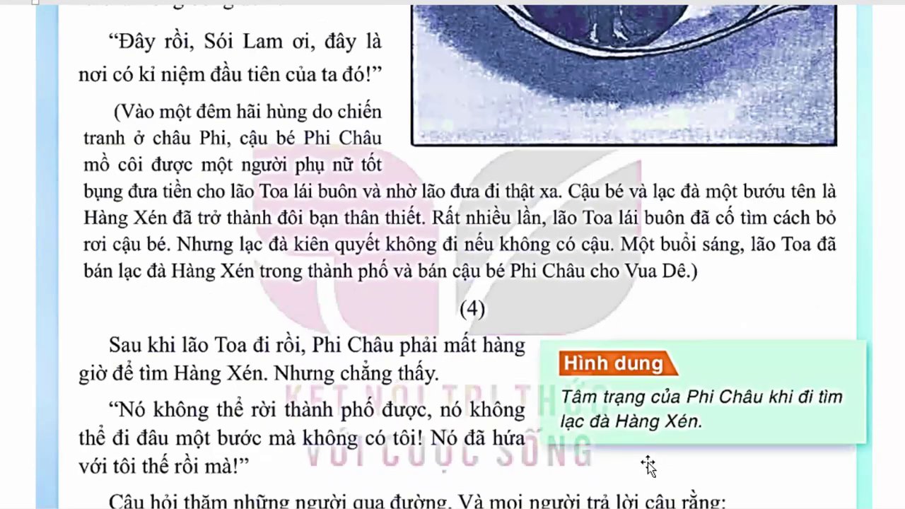 Cảnh Phi Châu cô đơn hỏi thăm người qua đường về chú lạc đà thất lạc.